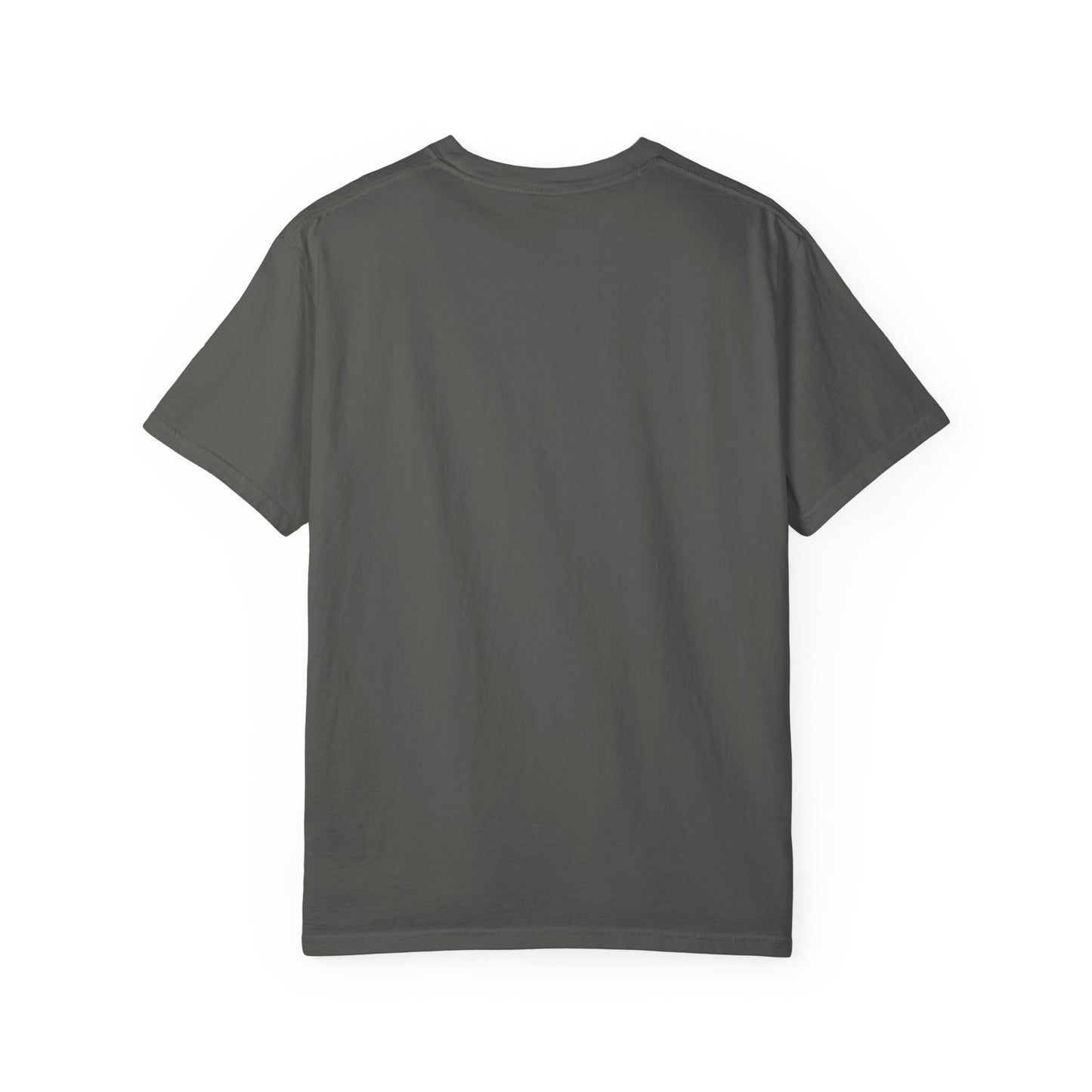 My Pittie isn't spoiled Premium Graphic Tee